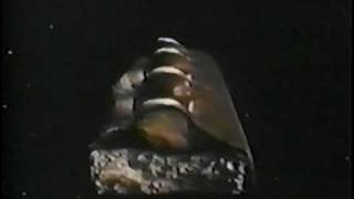 1974 Mars Almond Bar Commercial [upl. by Solly20]