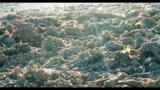 Geoingegneria  Documentario sulle Scie Chimiche [upl. by Reimer]