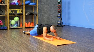 Forearm Plank with Oblique Twist [upl. by Beckett]