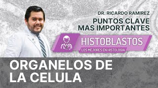 HISTOLOGIA  ORGANELOS CELULARES [upl. by Ahsaele]