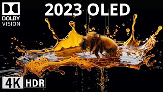 OLED DEMO 2023  4K HDR The Color Dolby Vision [upl. by Nofpets320]