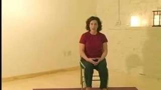 Yoga Lessons for the Overweight  Introduction to Beginning Yoga for the Overweight [upl. by Endaira]