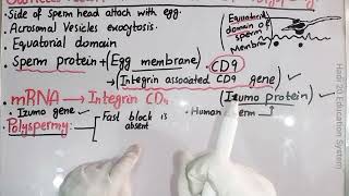 Gamete Fusion And Prevention Of Polyspermy  Ch 4  Lec No 16  Developmental Biology  BS Zoology [upl. by Greenes689]