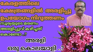 അരളിപ്പൂ ഒരു കൊലയാളി OLEANDER POISONING AND ITS TREATMENT [upl. by Eyak625]