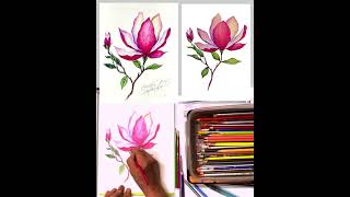 Watercolor pencil drawing 3 [upl. by Dorri]