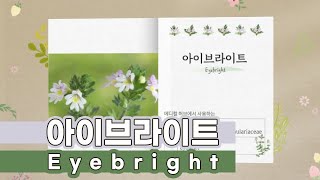 아이브라이트 Eyebright Euphrasia rostkoviana Eyebright Medicalherb 메디컬허브 [upl. by Eveiveneg]