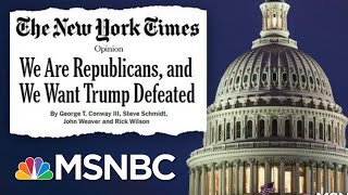 Republican Strategists Using Their Methods To Defeat The Republican President  Deadline  MSNBC [upl. by Lucy]