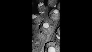 Mushroom Croquettes [upl. by Einrae]