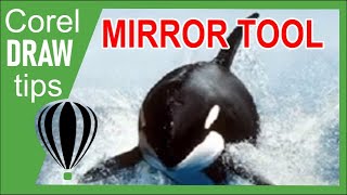 Mirror effect in CorelDraw [upl. by Ttelrahc769]