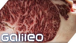 150 Euro pro Portion So schmeckt das edelste Fleisch der Welt  Galileo  ProSieben [upl. by Leynad805]