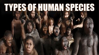 14 Different Types of Human Species  Explained [upl. by Ahtabat]