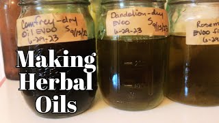 Homemade Oregano Oil Your Pantrys HealthBoosting Secret [upl. by Aihsekin]