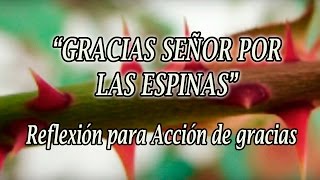 Reflexión para Acción de gracias quotGracias Señor por las espinasquot [upl. by Nylirak319]