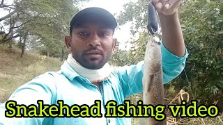 दुश्मन फ्रॉक स्नेकहेड फिशिंग वीडियो Dushman frog🐸 snakehead fishing video ni river [upl. by Wardlaw]