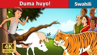 Duma huyo  There comes the Tiger in Swahili  Swahili Fairy Tales [upl. by Letram161]