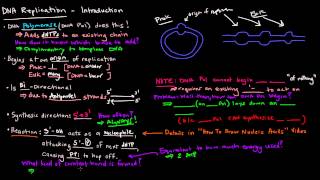 DNA Replication Part 1 of 3  Introduction [upl. by Hteb151]