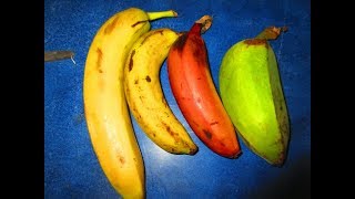 Rica variedad de BananoGuineo en El Salvador [upl. by Eniamor]