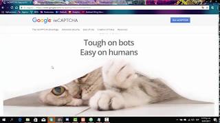 Google Recaptcha V2 Como insertarlo y usarlo [upl. by Daven]