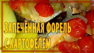 Запечённая форель с картофелем [upl. by Steel40]