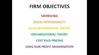 The Objectives of Firms  Economics A2 Level Unit 3 [upl. by Imelida]