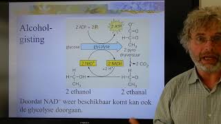 Biologie VWO BB Anaerobe dissimilatie [upl. by Herwig]