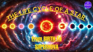 Life Of Star  The Life Cycle Of A STAR ⭐️ Space Science Science Facts [upl. by Nnylyak214]