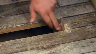 How to Fix and Repair Damaged Deck Boards  Mitre 10 Easy As DIY [upl. by Adam]