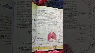 Breathing and exchange of gases Class 11 quotcomplete notesquot PART1 Subscribe for more [upl. by Salohcin645]