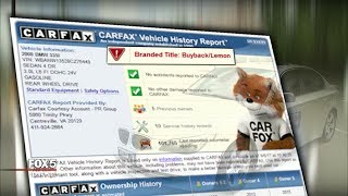 ITeam From Carfax To Carfake How Did FOX 5 ITeam Wind Up With Altered Car Report [upl. by Noach]