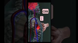 CPR Did you know quotStay Alivequot could save your lifecpr biology body 3d brain [upl. by Laira]