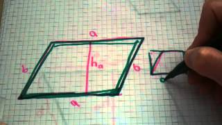 Flächeninhalt eines Parallelogramms berechnen  Mathe verstehen [upl. by Oigroig723]