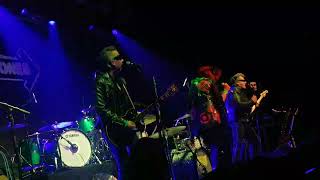 The Rezillos  Flying Saucer Attack Live 2023 Bristol [upl. by Teferi508]