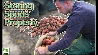 Storing Potatoes Long Term  Save Your Potato Harvest [upl. by Hartnett]