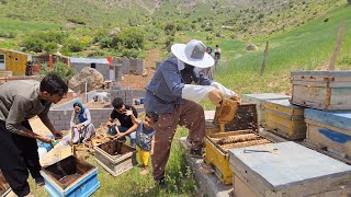 Beekeeping Adventures Transferring Queen Bees amp Building Milads House [upl. by Nosloc]