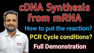 cDNA synthesis from mRNA  How to setup the reaction  Calculation amp PCR Conditions  Full Details [upl. by Turnbull888]