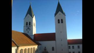 Freising Dom St Maria und Korbinian altes Plenum [upl. by Ainehs]