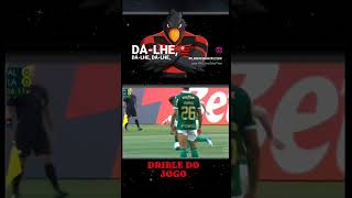 Palmeiras vs Flamengo DRIBLE DO JOGO [upl. by Latouche]