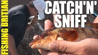 Stinky Fishing  beachcasting bait tips [upl. by Hagood]