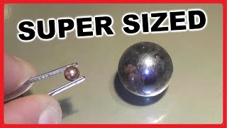 SUPERSIZED BB GUN  68 Cal BALL BEARING Shotgun Loads [upl. by Bbor143]