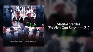 Matitas Verdes En Vivo Con Servando ZL  Grupo Arriesgado Ft Los Chavalitos [upl. by Nohsreg]