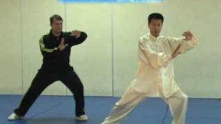 Tai Chi Application for Selfdefense fight in Chen taiji 2 [upl. by Nohs148]