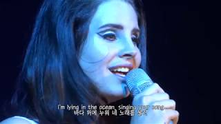 라나 델 레이Lana Del Rey  Dark Paradise 가사 번역 [upl. by Yrahca]