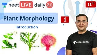 NEET Plant Morphology  L1  Class 11  Live Daily 20  Unacademy NEET  Pradeep Sir [upl. by Elleinet85]