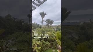 Scenic hotel punakaiki New Zealand travel viralvideo haksekoli newzealandtourism [upl. by Ycart]