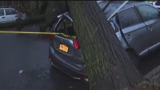 Tree topples smashes car parked along Bronx street [upl. by Corkhill137]