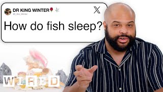 Marine Biologist Answers Fish Questions From Twitter  Tech Support  WIRED [upl. by Kcirddot]