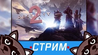 Destiny 2  Ночной стрим с Феном 👾 [upl. by Alphonsa852]