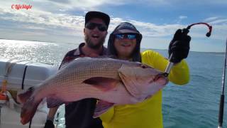 Giant Red Bass Poppers amp Stickbaits Ep 10 ONZZ Fishing Adventures Montebello Islands Australia [upl. by Viquelia]