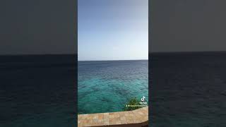 Oceanfront Home  Oceanfront house luxury Bonaire Caribbean snelcode 42658 1 [upl. by Zakarias]