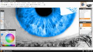 Einfärben in PaintNET  Tutorial HD [upl. by Nnylahs]
